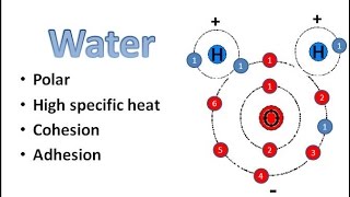 Water Chemistry [upl. by Allenad789]