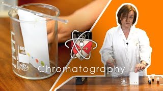 Chromatography  GCSE Science Required Practical [upl. by Eudo737]