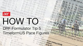 How To  DRF Formulator Tip 5  TimeformUS Pace Figures [upl. by Robinette]