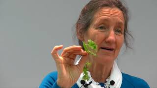 Barbara ONeill  Part 11 Herbs [upl. by Danas]