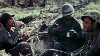 The Pacific  WW2 Battle of Peleliu [upl. by Hock776]