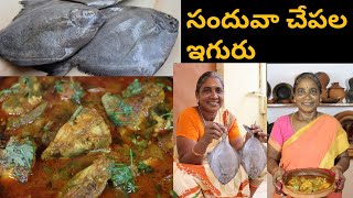 సందువా చేపల ఇగురు  Sandhuva Fish Curry  Patnamlo Palleruchulu  పట్నంలో పల్లెరుచులు [upl. by Imoian]