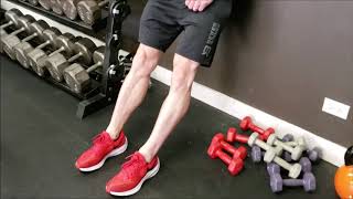 Bodyweight Tibialis Raise  Fix Shin Splits [upl. by Aiykan]