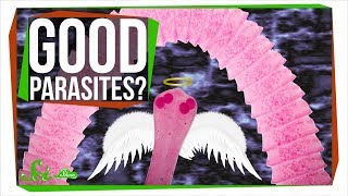 17 Terrifying Worms and Parasites [upl. by Puglia]