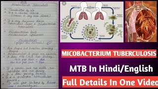 Micobacterium tuberculosis  Mycobacterium tuberculi microbiology [upl. by Adnale]