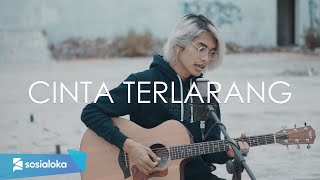 Cinta Terlarang  The Virgin Cover by Tereza [upl. by Caren378]