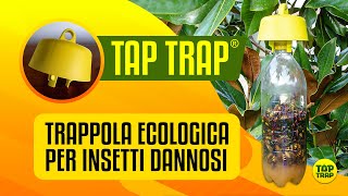 Tap Trap  trappola ECOLOGICA per insetti [upl. by Iinden796]