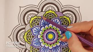 How to Colour a Mandala step by step [upl. by Ettelocin]