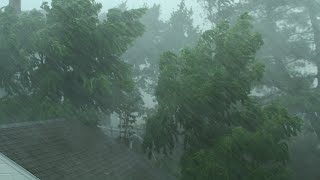 Tropical WIND on a RAINY DayRain and Thunder Sounds for SLEEP amp Relaxation [upl. by Labotsirhc]