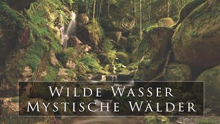 LANDSCHAFTSFOTOGRAFIE  Wilde Wasser stille Wälder [upl. by Garratt563]