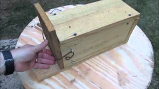 How to Make a Squirrel Box [upl. by Kosel606]