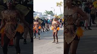 highlightcalabarstreetcarnivalReel [upl. by Hollie502]