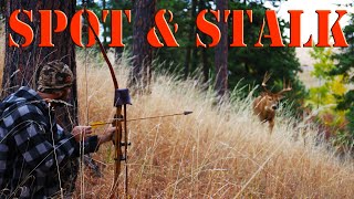 Recurve Bow Hunting  Public Land Bowhunting from the GROUND [upl. by Nauqyt]