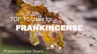 Top 10 Uses for Frankincense Essential Oil [upl. by Shannen]