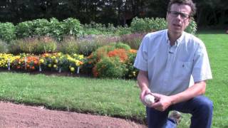 How to Plant Fall Garlic [upl. by Proctor51]