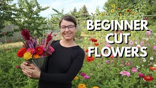 Cut Flower Garden for Beginners  From Seed to Bouquet [upl. by Ostraw]