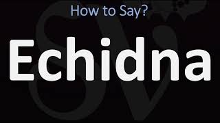 How to Pronounce Echidna CORRECTLY [upl. by Ailadgim]