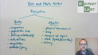 Biotic and Abiotic Factors [upl. by Shushan733]