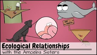 Ecological Relationships [upl. by Aniahs]