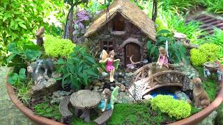 All About Fairy Gardens with Dave Forehand [upl. by Nomrej]