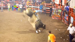 Rancho Lumbí ofrece las montas de toros más emocionantes en Juigalpa [upl. by Cohe]