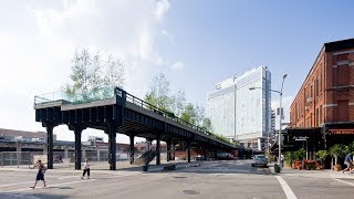 Architects can help to manage gentrification caused by projects like the High Line says Liz Diller [upl. by Grimbald634]