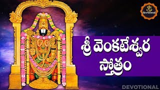 SRI VENKATESWARA STOTRAM TELUGU LYRICS AND MEANINGS [upl. by Palla610]