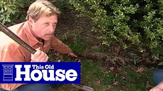 How to Edge a Garden Bed  This Old House [upl. by Spiro]