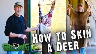 How To Easily Skin A Deer 580 [upl. by Leumel]