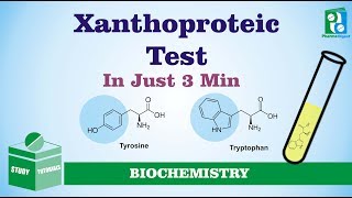 Xanthoproteic Test Just in 3 Minutes [upl. by Ches]