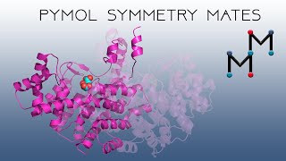 Wheres My Dimer Symmetry Mates in PyMOL [upl. by Kealey]