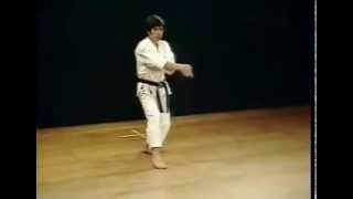 GojushihoSho  Shotokan SKIF  Hirokazu Kanazawa [upl. by Katt728]