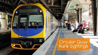 Sydney Trains Vlog 1591 Circular Quay Rare Sightings [upl. by Intisar95]