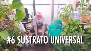 6 SUSTRATO Universal para tus plantas [upl. by Blackman]