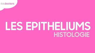 Les épithéliums  Histologie [upl. by Ellen]