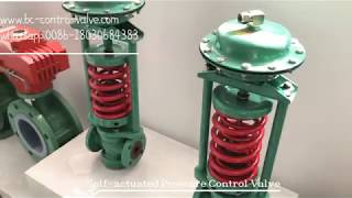 Self Actuated Pressure Control Valve Regulator [upl. by Lexi]