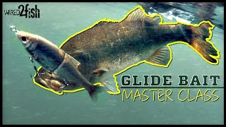 Glide Bait Bass Fishing 🐟  Everything You Need to Know ‼️ [upl. by Loferski845]