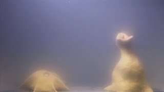 TWO HOMUNCULUS IN ONE TANK  homunculi footage analysed [upl. by Oletha810]