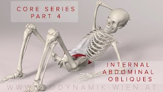 Core Series Part 4 Internal Abdominal Obliques Muscles 3D Animation [upl. by Eon]