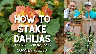 🌿 How to Stake Dahlias 🌿 [upl. by Bostow]