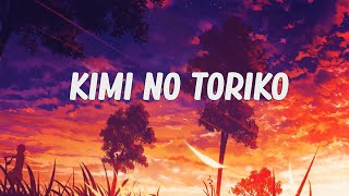 cinnamons × evening cinema  Kimi No Toriko Summertime Lyrics 🎶 [upl. by Nyer]