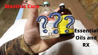 How to treat mastitis in goats  DIY home treatment [upl. by Sirroned]