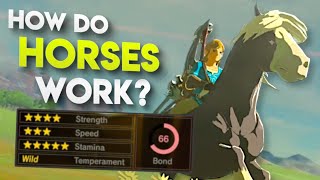 All HIDDEN Horse Stats in Breath of the Wild EXPLAINED [upl. by Stubstad]