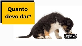 ✅ Quantidade de ração para cachorro filhote [upl. by Najed]