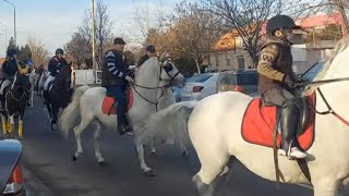 nošenje badnjaka Pančevo [upl. by Nilrac]