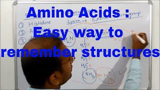 Amino acids an overview 2 in Hindi [upl. by Paresh956]