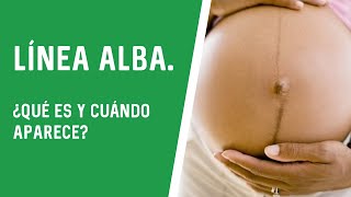 LÍNEA ALBA ¿QUÉ ES Y CUÁNDO APARECE [upl. by Prochora]