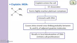 Antineoplastic agents Cisplatin [upl. by Nairb]