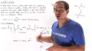 Disulfide Bond Formation [upl. by Olds530]