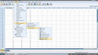 How to Use SPSS Cochrans Q Test [upl. by Terag]